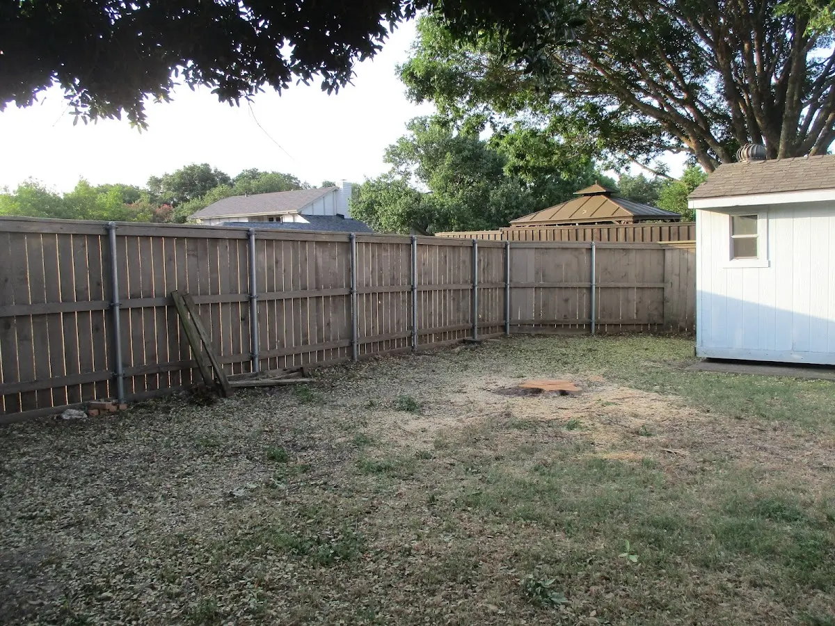 Cleared yard after professional tree removal in Verbank